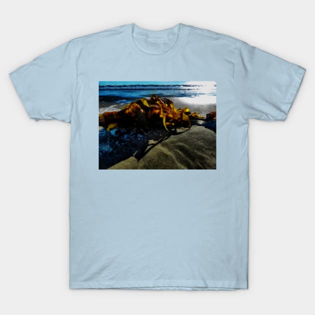 The Seaweed at Dawn T-Shirt by PictureNZ